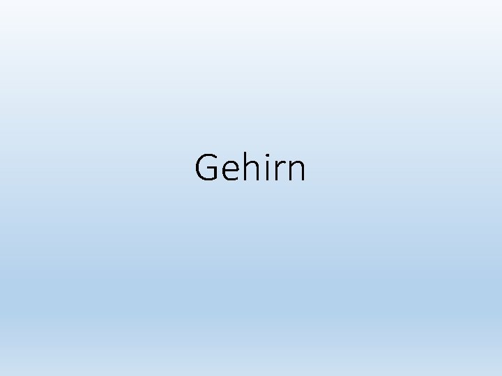 Gehirn 