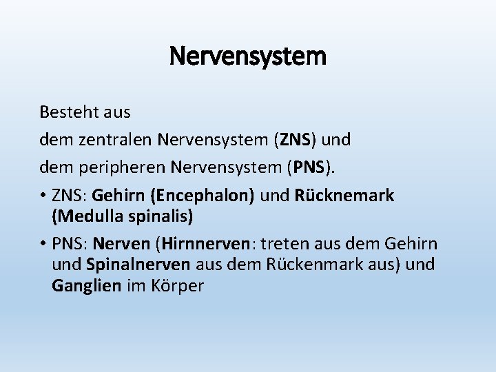 Nervensystem Besteht aus dem zentralen Nervensystem (ZNS) und dem peripheren Nervensystem (PNS). • ZNS: