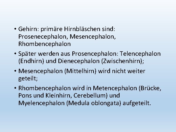  • Gehirn: primäre Hirnbläschen sind: Prosenecephalon, Mesencephalon, Rhombencephalon • Später werden aus Prosencephalon: