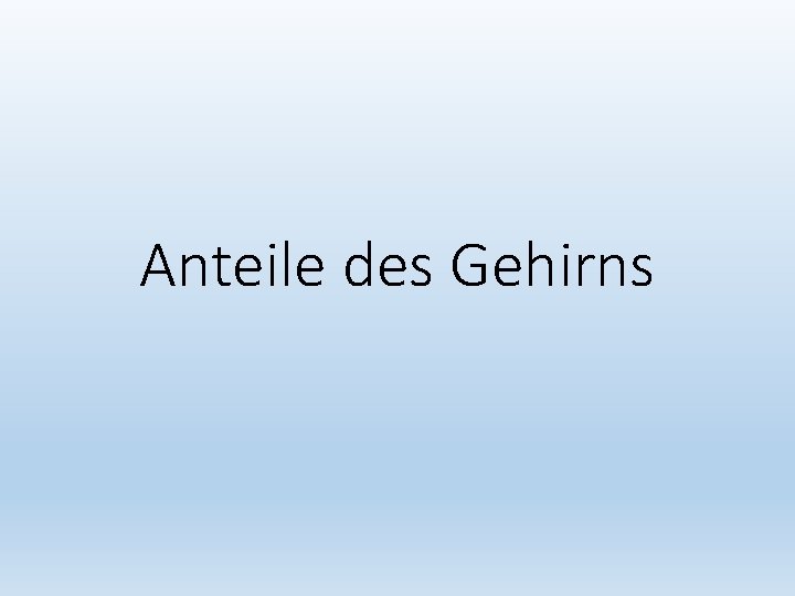 Anteile des Gehirns 