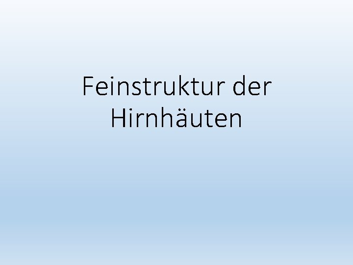 Feinstruktur der Hirnhäuten 