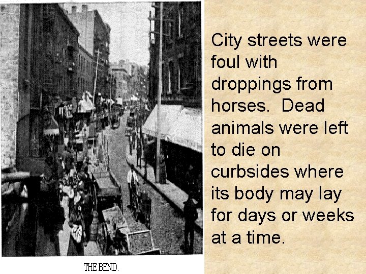 City streets were foul with droppings from horses. Dead animals were left to die