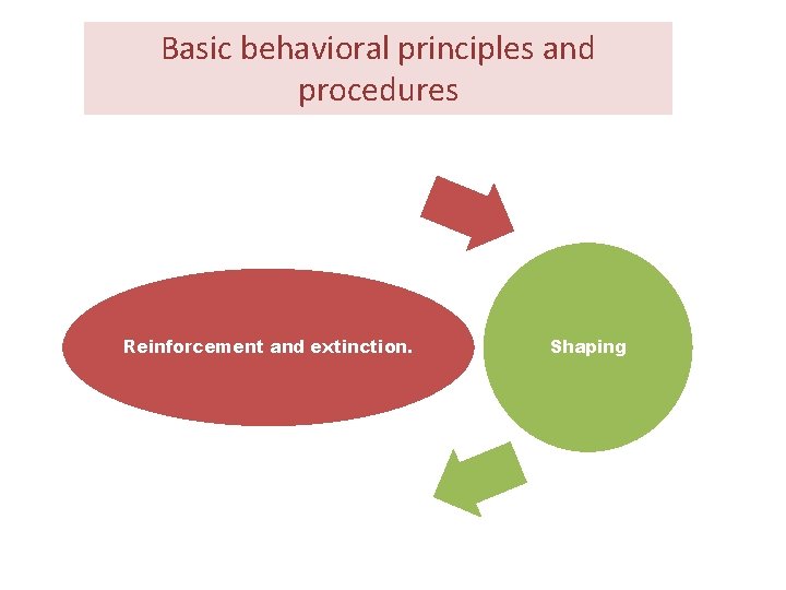 Basic behavioral principles and procedures Reinforcement and extinction. Shaping Basic behavioral principles and procedures Reinforcement and extinction. Shaping