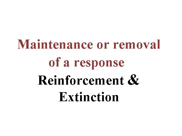 Maintenance or removal of a response : Reinforcement & Extinction Maintenance or removal of a response : Reinforcement & Extinction