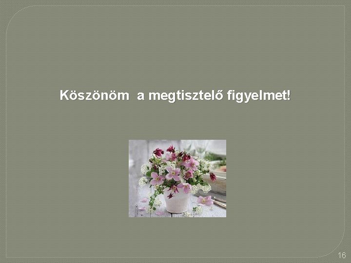 Köszönöm a megtisztelő figyelmet! 16 