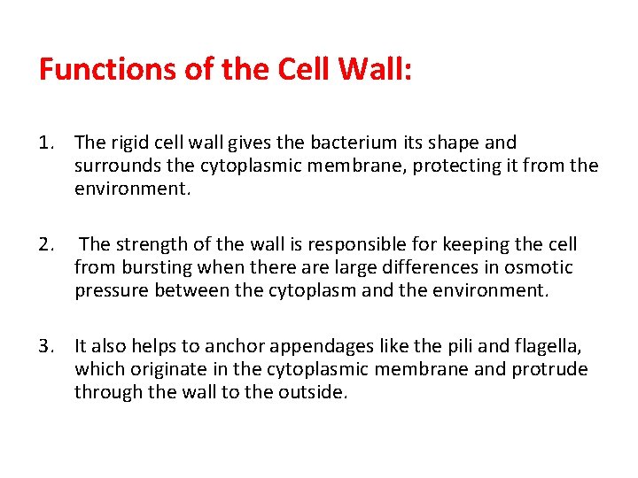Functions of the Cell Wall: 1. The rigid cell wall gives the bacterium its