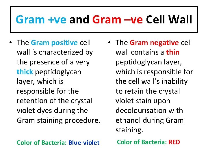 Gram +ve and Gram –ve Cell Wall • The Gram positive cell • The