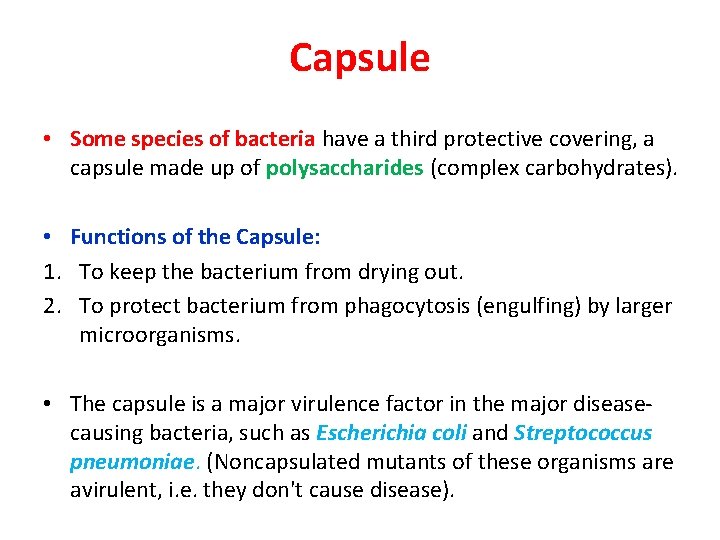 Capsule • Some species of bacteria have a third protective covering, a capsule made
