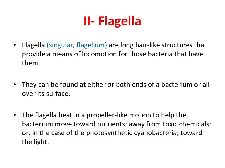 II- Flagella • Flagella (singular, flagellum) are long hair-like structures that provide a means