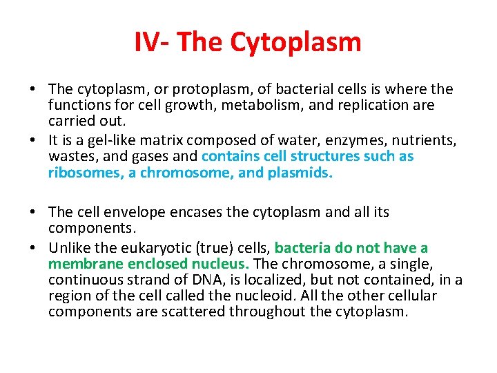 IV- The Cytoplasm • The cytoplasm, or protoplasm, of bacterial cells is where the