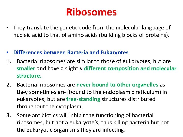 Ribosomes • They translate the genetic code from the molecular language of nucleic acid