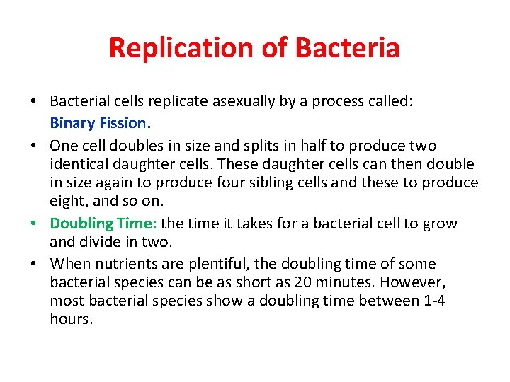 Replication of Bacteria • Bacterial cells replicate asexually by a process called: Binary Fission.