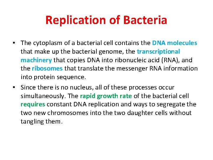 Replication of Bacteria • The cytoplasm of a bacterial cell contains the DNA molecules