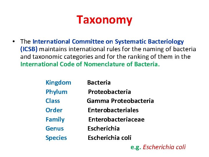 Taxonomy • The International Committee on Systematic Bacteriology (ICSB) maintains international rules for the