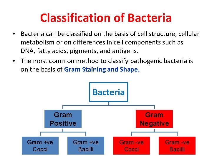 Classification of Bacteria • Bacteria can be classified on the basis of cell structure,