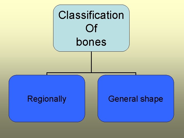 Classification Of bones Regionally General shape 