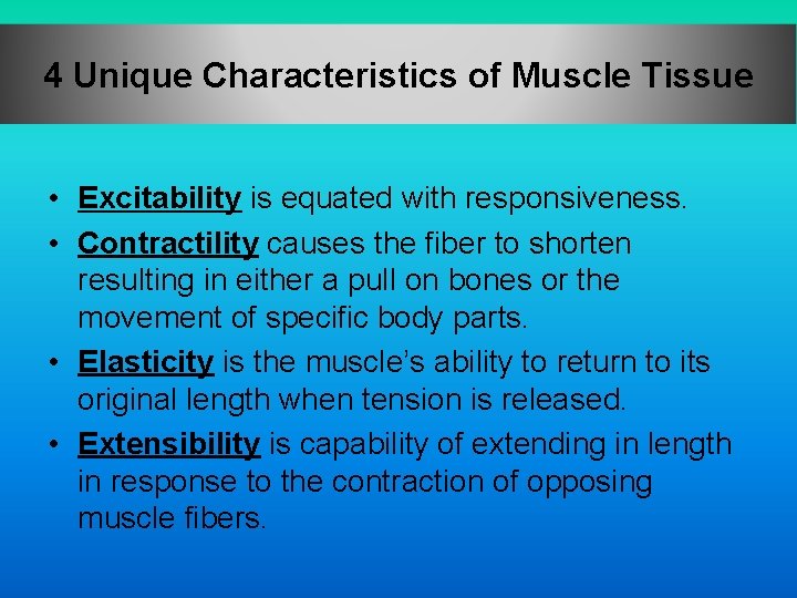 4 Unique Characteristics of Muscle Tissue • Excitability is equated with responsiveness. • Contractility