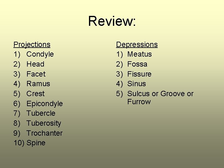 Review: Projections 1) Condyle 2) Head 3) Facet 4) Ramus 5) Crest 6) Epicondyle