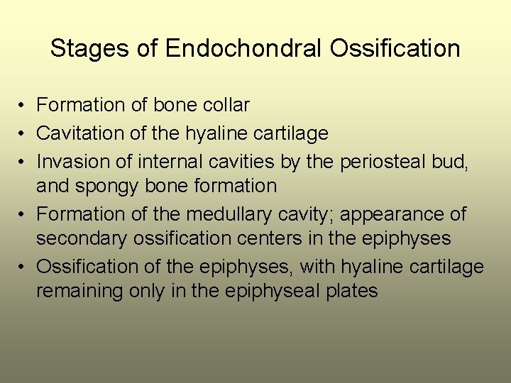 Stages of Endochondral Ossification • Formation of bone collar • Cavitation of the hyaline