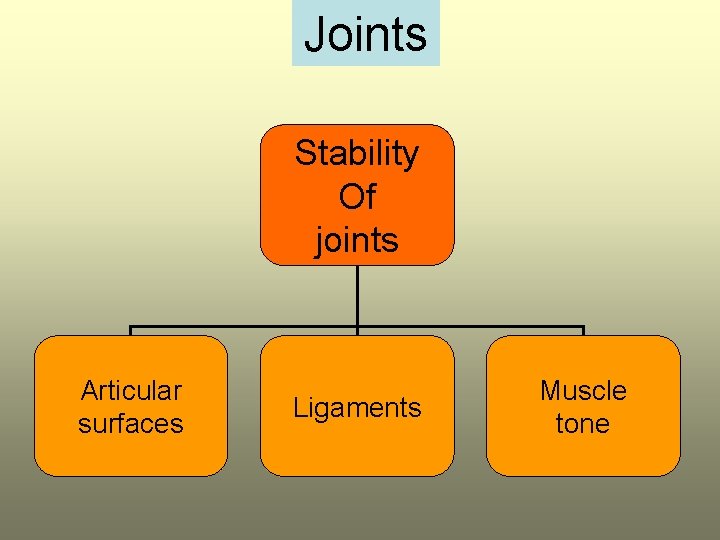 Joints Stability Of joints Articular surfaces Ligaments Muscle tone 