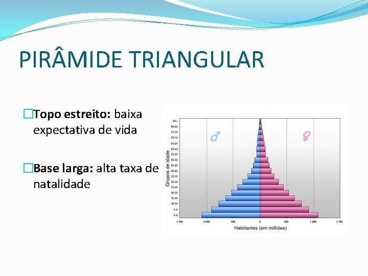 PIR MIDE TRIANGULAR �Topo estreito: baixa expectativa de vida �Base larga: alta taxa de