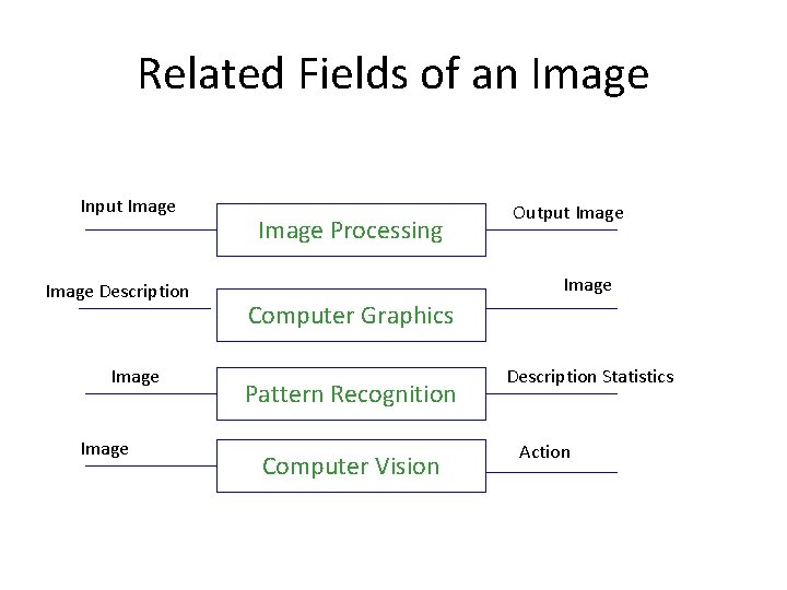 Related Fields of an Image Input Image Description Image Processing Output Image Computer Graphics