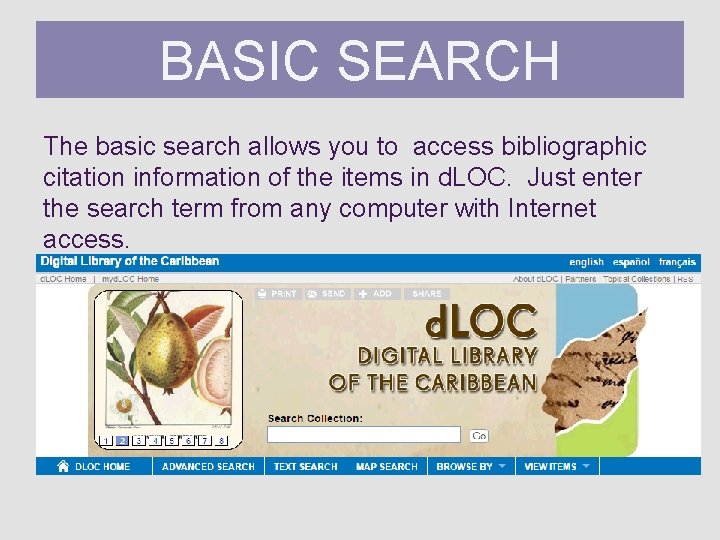 BASIC Basic. SEARCH Search The basic search allows you to access bibliographic citation information