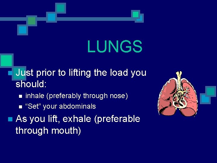 LUNGS n Just prior to lifting the load you should: n n n inhale