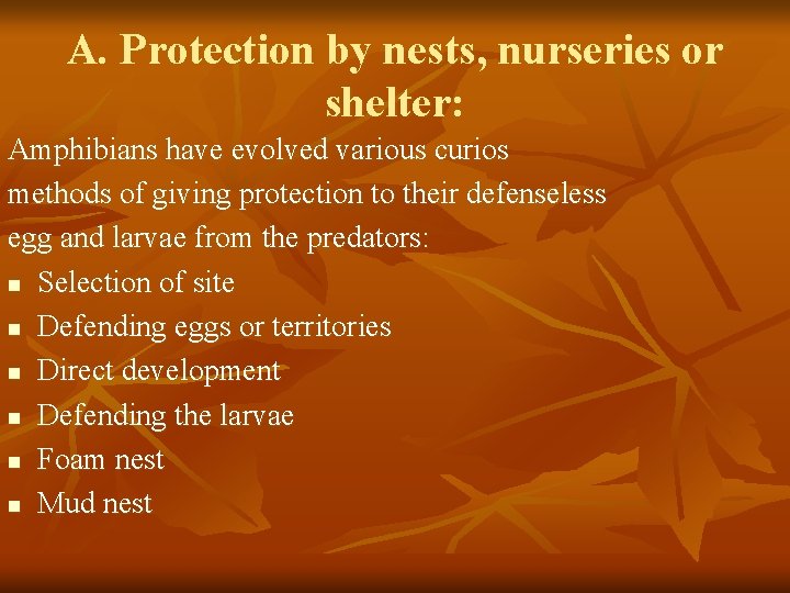 A. Protection by nests, nurseries or shelter: Amphibians have evolved various curios methods of