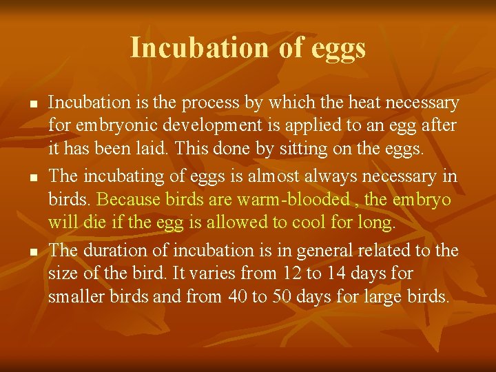 Incubation of eggs n n n Incubation is the process by which the heat