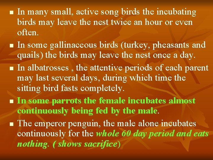 n n n In many small, active song birds the incubating birds may leave