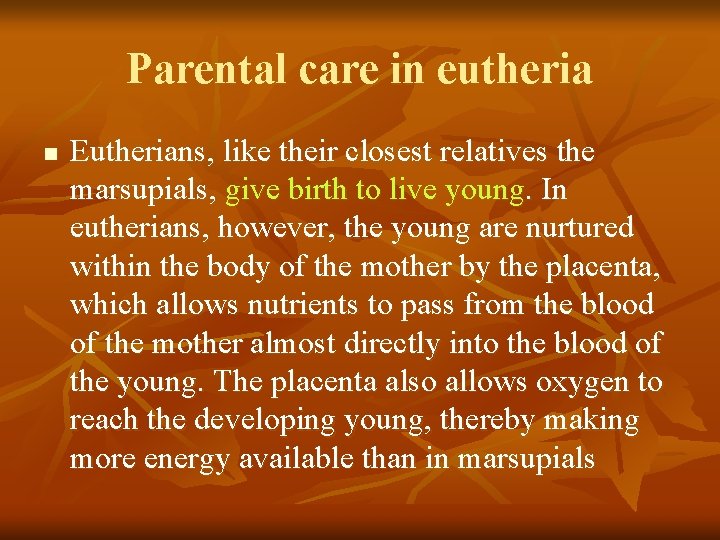 Parental care in eutheria n Eutherians, like their closest relatives the marsupials, give birth