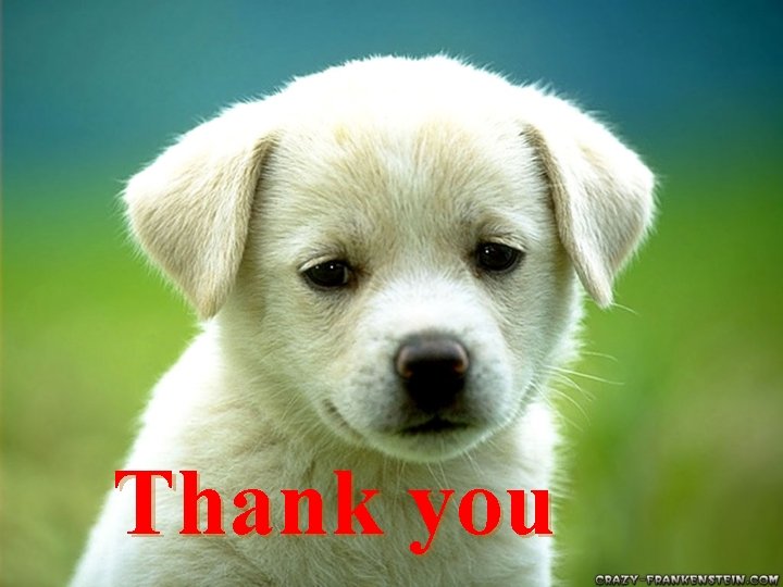 Thank you 