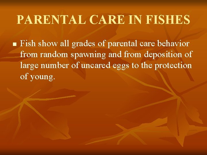 PARENTAL CARE IN FISHES n Fish show all grades of parental care behavior from