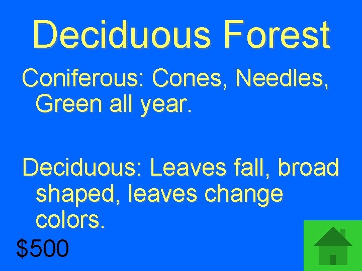 Deciduous Forest Coniferous: Cones, Needles, Green all year. Deciduous: Leaves fall, broad shaped, leaves