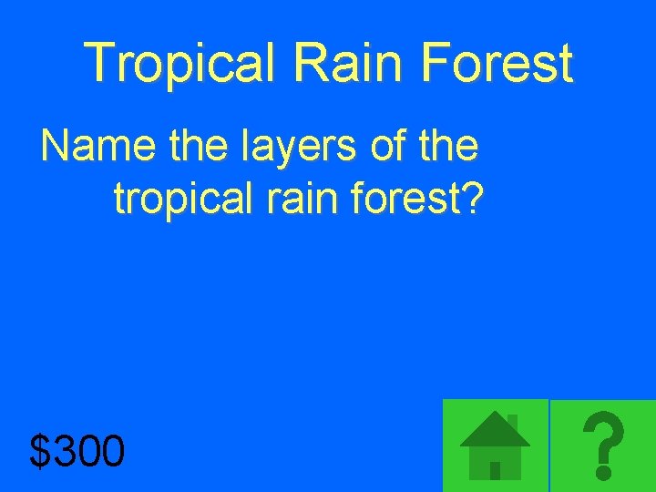 Tropical Rain Forest Name the layers of the tropical rain forest? $300 