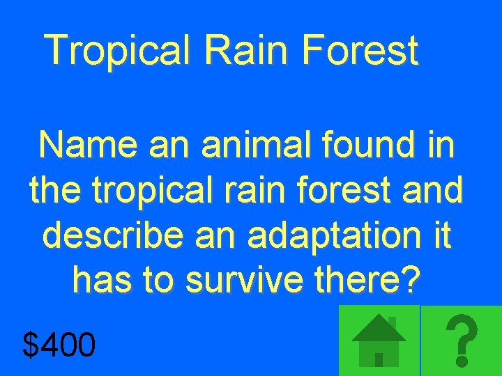 Tropical Rain Forest Name an animal found in the tropical rain forest and describe