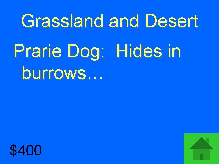 Grassland Desert Prarie Dog: Hides in burrows… $400 