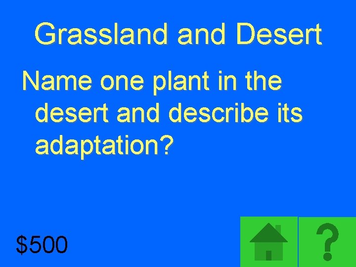 Grassland Desert Name one plant in the desert and describe its adaptation? $500 