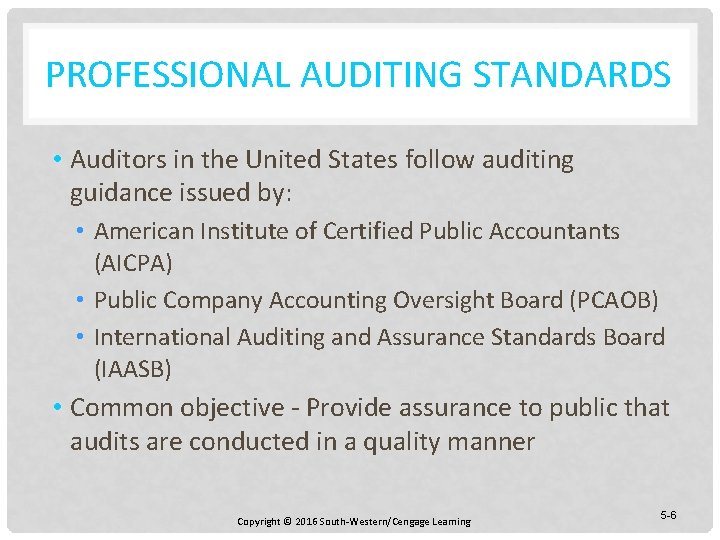 PROFESSIONAL AUDITING STANDARDS • Auditors in the United States follow auditing guidance issued by: