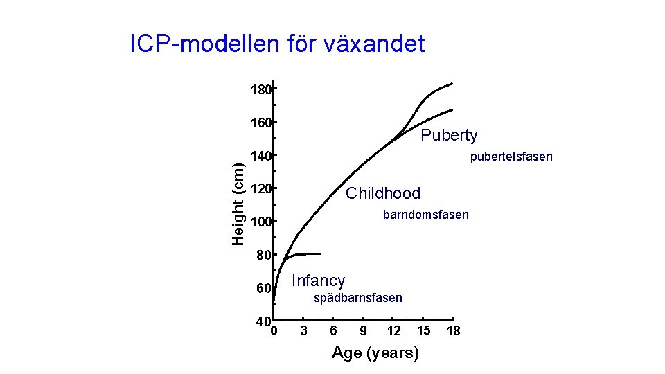 ICP-modellen för växandet 180 Height (cm) 160 Puberty 140 pubertetsfasen 120 Childhood barndomsfasen 100