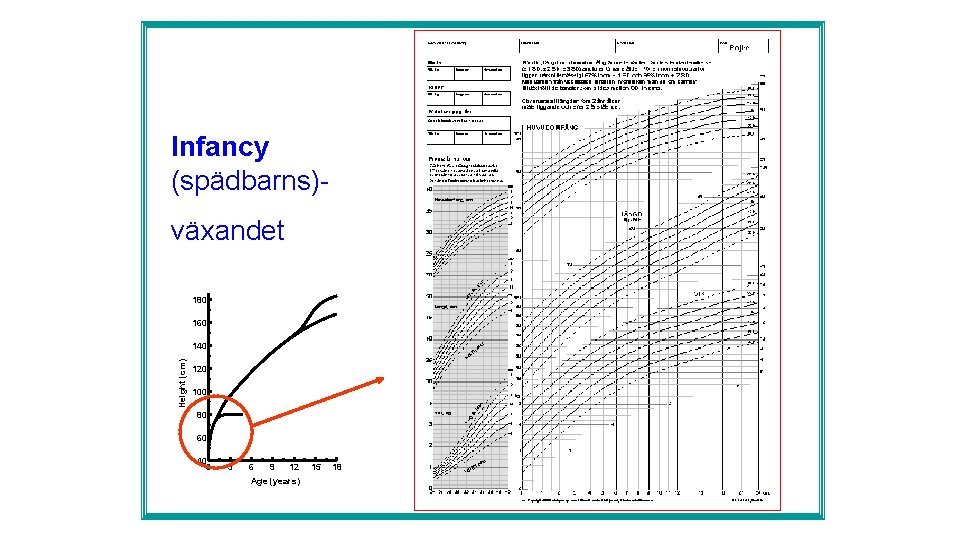 Infancy (spädbarns)växandet 180 160 Height (cm) 140 120 100 80 60 40 0 3
