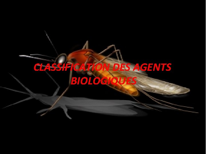 CLASSIFICATION DES AGENTS BIOLOGIQUES 