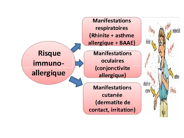 Manifestations respiratoires (Rhinite + asthme allergique + BAAE) Risque immunoallergique Manifestations oculaires (conjonctivite allergique)