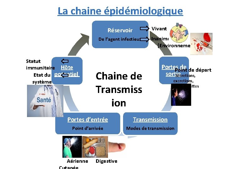 La chaine épidémiologique Vivant Réservoir De l’agent infectieux Statut immunitaire Hôte Etat du potentiel