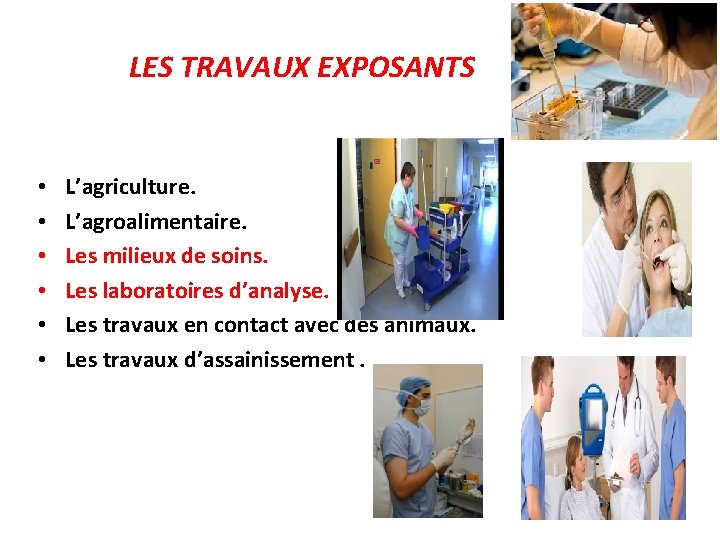 LES TRAVAUX EXPOSANTS • • • L’agriculture. L’agroalimentaire. Les milieux de soins. Les laboratoires