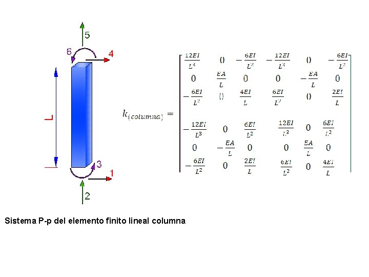 Sistema P-p del elemento finito lineal columna 