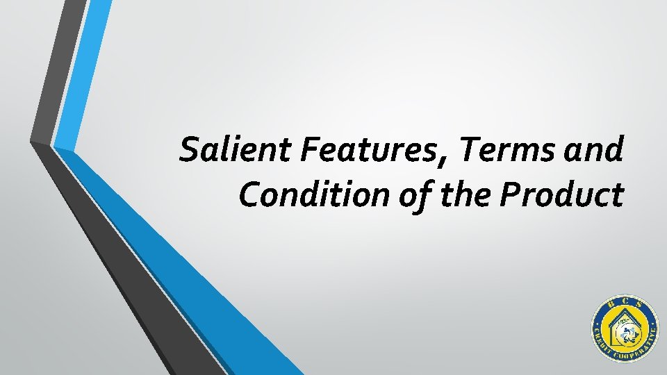 Salient Features, Terms and Condition of the Product 