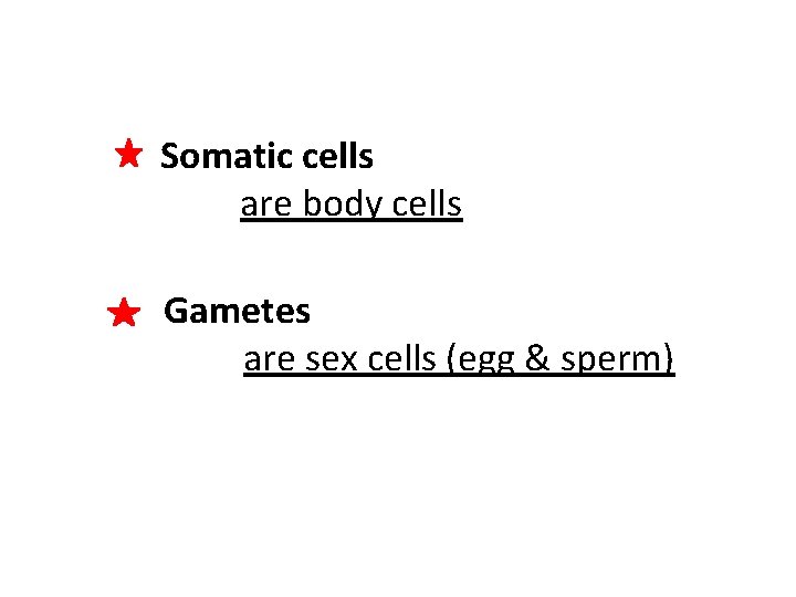 Somatic cells are body cells Gametes are sex cells (egg & sperm) 