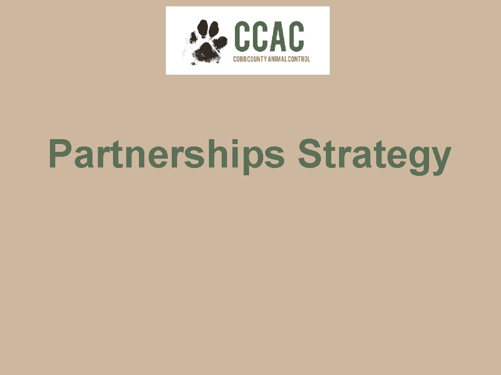 Partnerships Strategy 